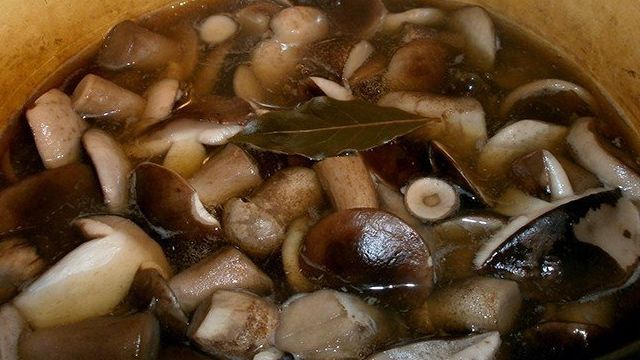 Как мариновать грузди: рецепт с фото маринованных грибов и видео