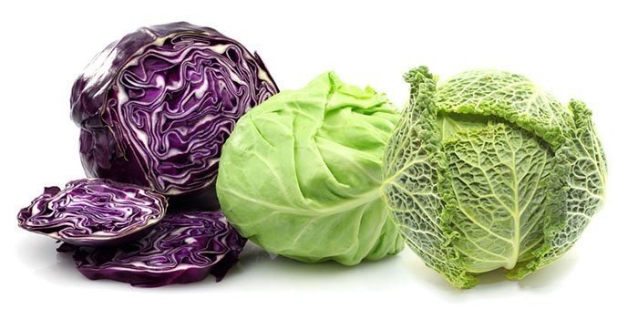 «red vs green cabbage: which is healthier?»