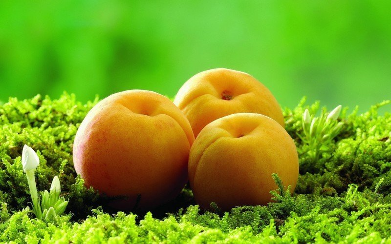 Персик абрикос