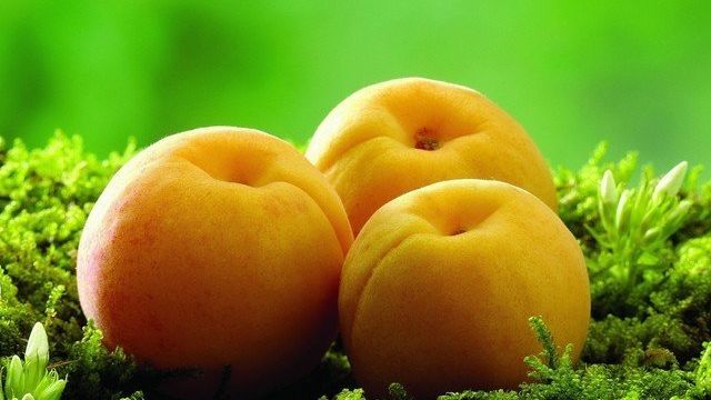 Как правильно сушить абрикосы на зиму на солнце, электросушилке, в духовке, микроволновке, аэрогриле? Как сушить косточки абрикосов?