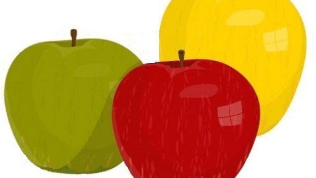 Как сушить яблоки на улице — на воздухе в тени или под солнцем