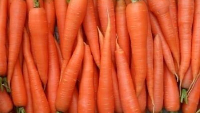 Как заморозить морковь на зиму в морозилке в домашних условиях: можно ли замораживать морковку