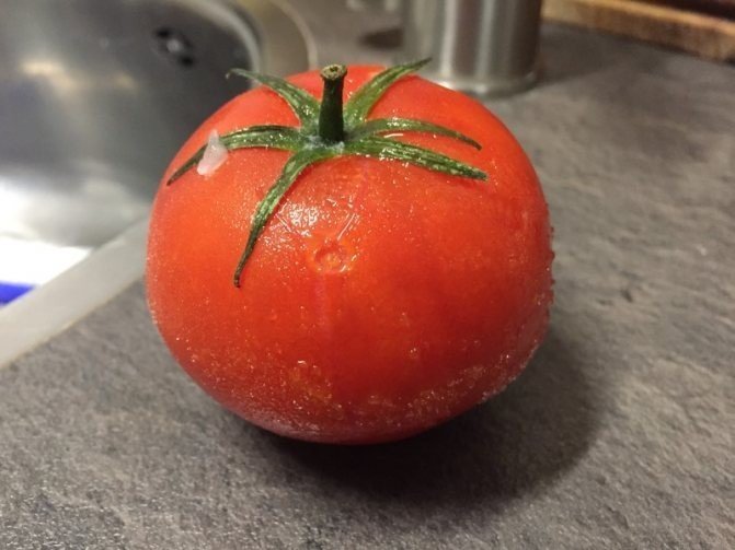 Заморозка помидор на зиму